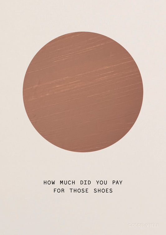 How much did you pay for those shoes